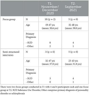 Implementation of a peer support worker in a forensic psychiatric hospital in Germany—Views of patients